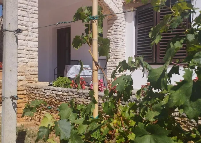 Giardin *** Ližnjan